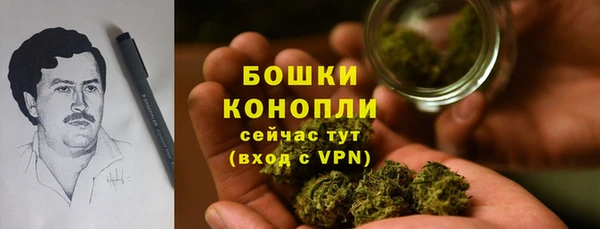 спайс Алексин