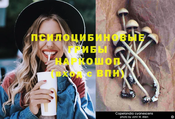 ГАЛЛЮЦИНОГЕННЫЕ ГРИБЫ Абинск
