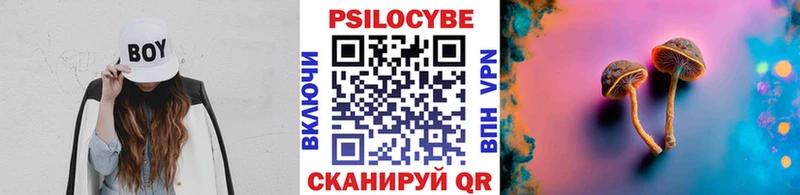 хочу   Грайворон  Галлюциногенные грибы MAGIC MUSHROOMS 