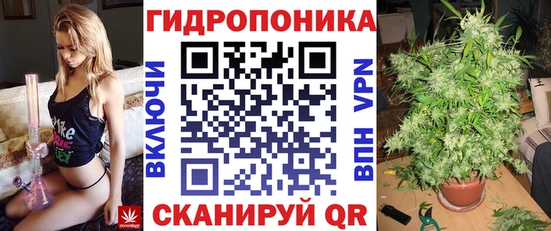 купить наркоту  Грайворон  Бошки Шишки SATIVA & INDICA 