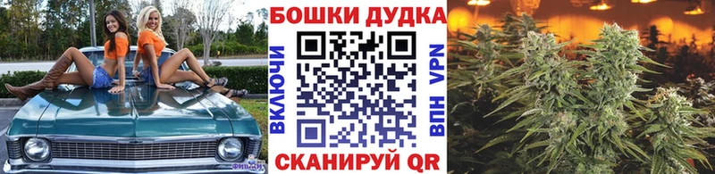 Марихуана планчик Грайворон